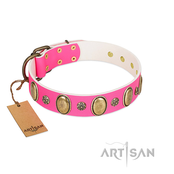 High quality leather dog collar with corrosion resistant D-ring