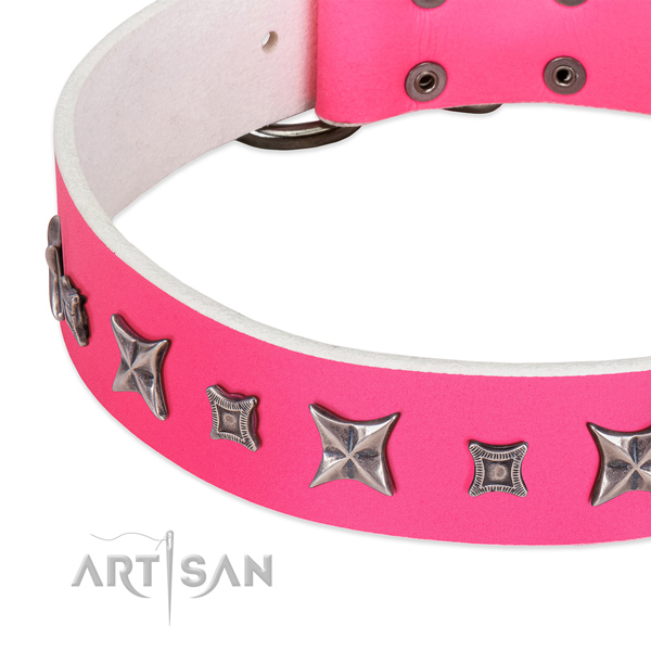 Fancy walking studded genuine leather collar for your four-legged friend