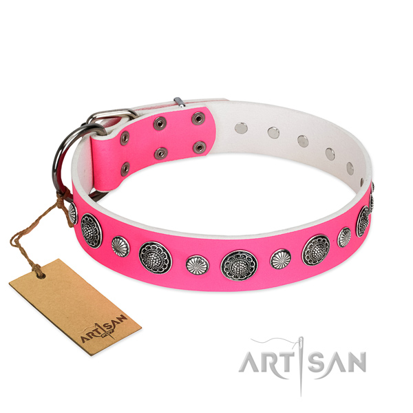 Gentle to touch natural leather dog collar with corrosion proof fittings
