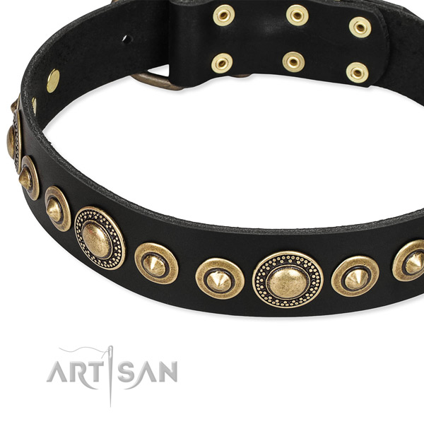Quality genuine leather dog collar crafted for your impressive dog