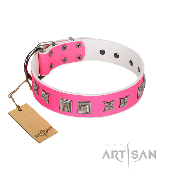 Leather dog collar with amazing studs made four-legged friend