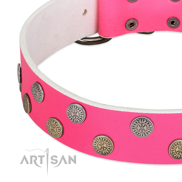 Flexible full grain natural leather dog collar with studs for walking