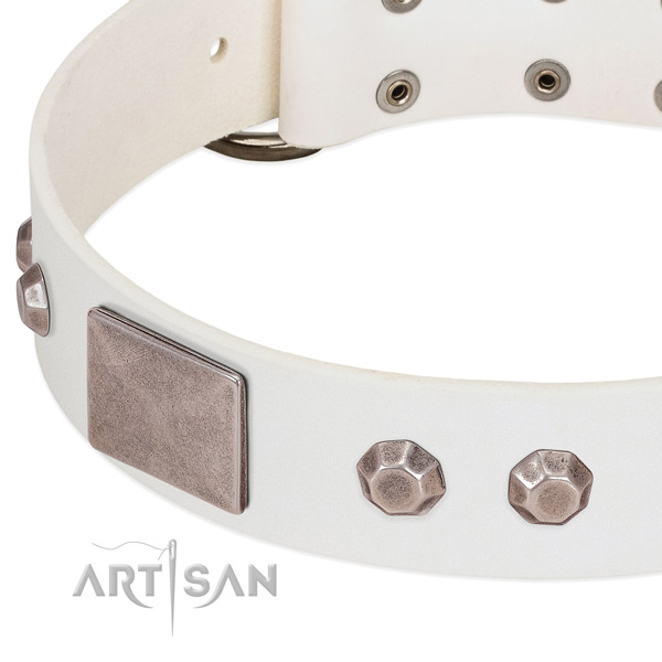 Gentle to touch full grain genuine leather dog collar with decorations