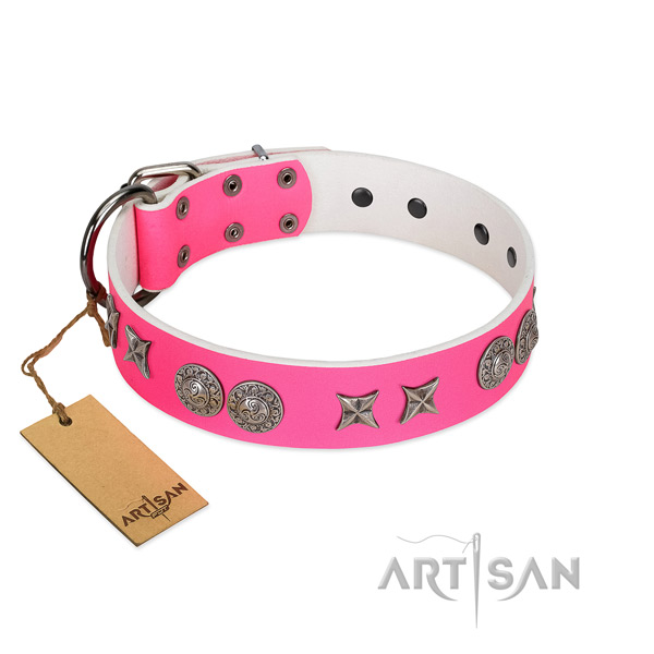 Easy wearing dog collar of natural leather with unique decorations