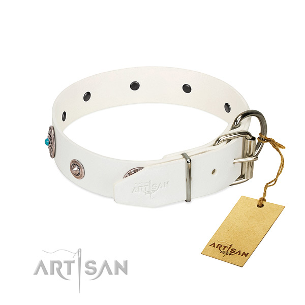 Significant studded full grain genuine leather dog collar