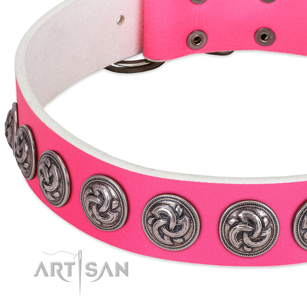 Amazing leather collar for your pet walking