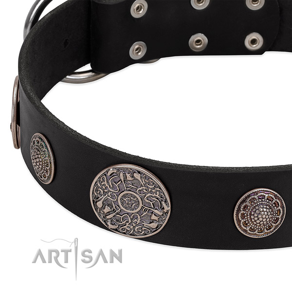 Corrosion resistant embellishments on genuine leather dog collar