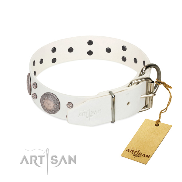 Everyday use embellished genuine leather dog collar