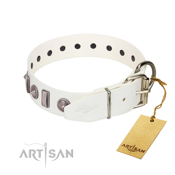 Easy wearing natural leather dog collar with extraordinary studs