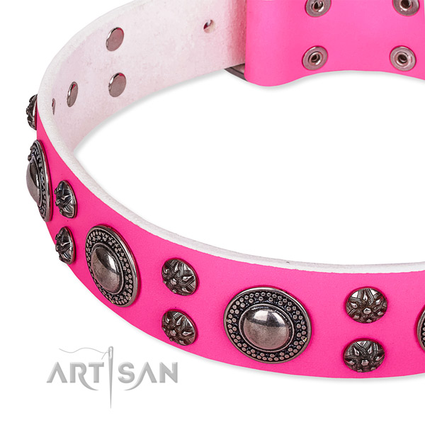 Basic training decorated dog collar of top quality leather