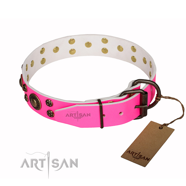 Easy wearing studded dog collar of reliable leather
