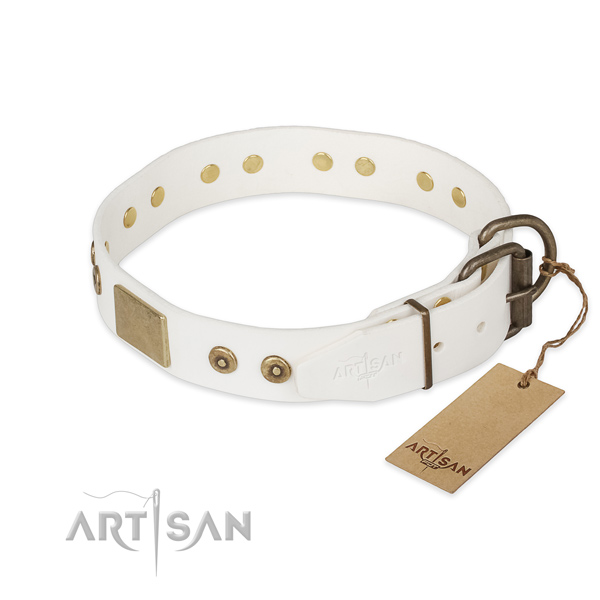 Reliable hardware on full grain leather collar for stylish walking your four-legged friend