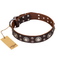 "Age of Beauty" FDT Artisan Incredible Studded Brown Leather Amstaff Collar