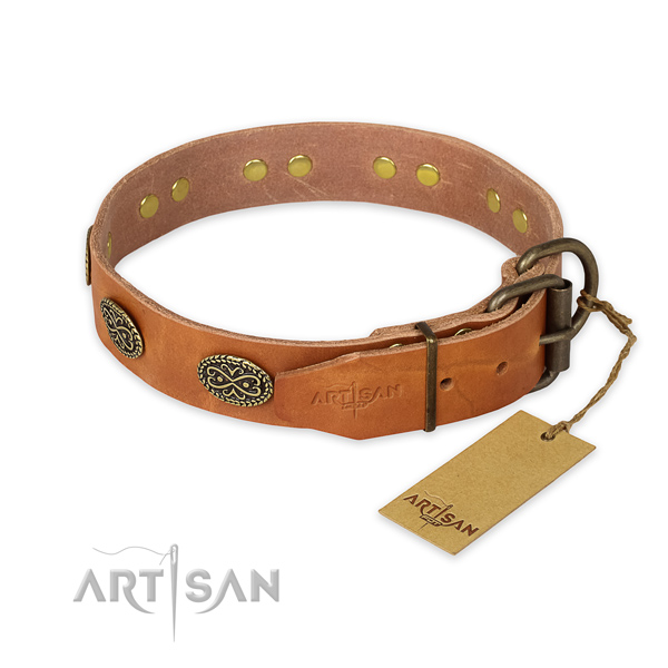 Corrosion proof traditional buckle on full grain leather collar for everyday walking your doggie