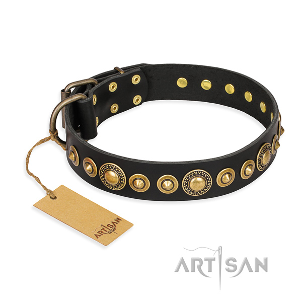 Strong leather dog collar made for stylish walking
