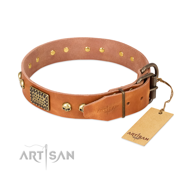 Durable decorations on walking dog collar