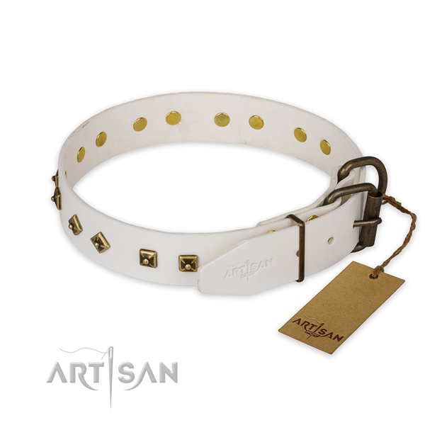 Corrosion proof fittings on leather collar for basic training your canine