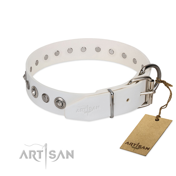 Strong leather dog collar with inimitable decorations
