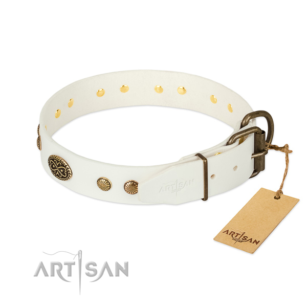 Durable adornments on natural leather dog collar for your four-legged friend