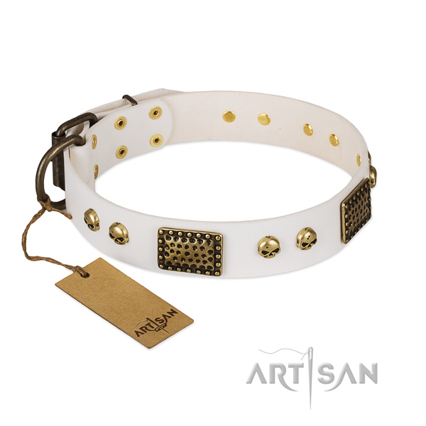 Rust resistant hardware on basic training dog collar