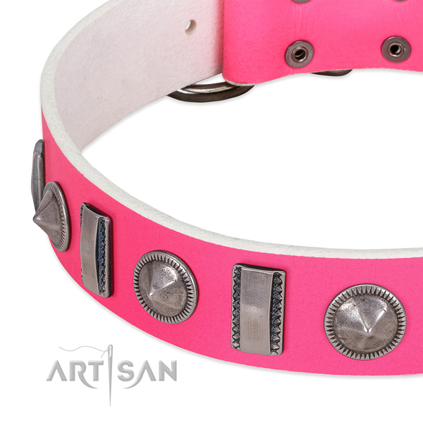 Awesome decorated genuine leather dog collar for walking