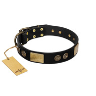 "Chicci-Glam" FDT Artisan Black Leather Amstaff Collar with Plates and Ornate Studs