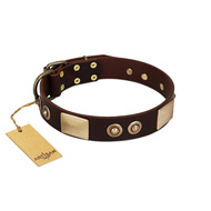 "Sense of Freedom" FDT Artisan Brown Leather Amstaff Collar with Old Bronze-Plated Studs and Plates