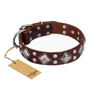 "King of Grace" FDT Artisan Stylish Leather Amstaff Collar with Old Silver-Like Plated Decorations