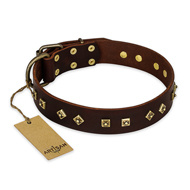"Fashion Studs" FDT Artisan Decorated Leather Amstaff Collar with Old Bronze-Plated Steel Hardware