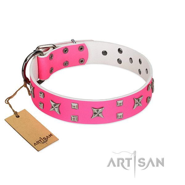 Top notch full grain leather collar for your pet walking