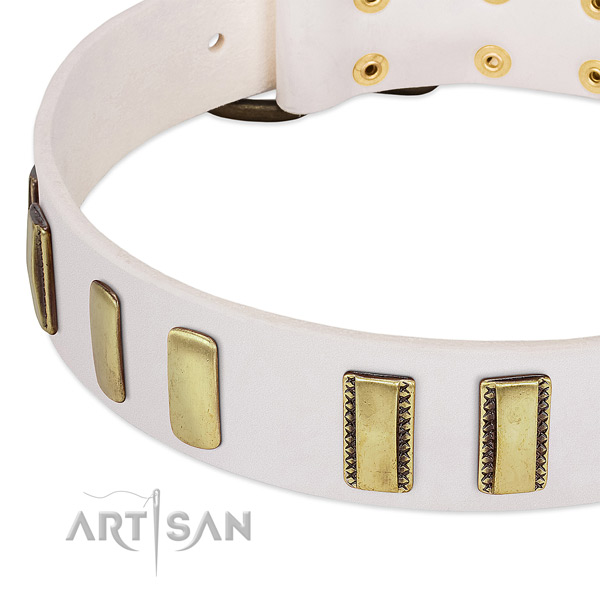 Best quality natural leather dog collar with studs for comfy wearing