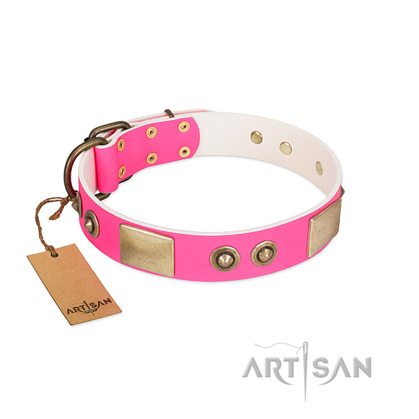 Reliable studs on full grain genuine leather dog collar for your canine