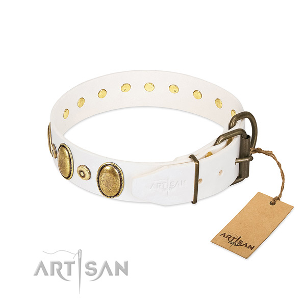 Rust-proof studs on soft to touch full grain natural leather dog collar