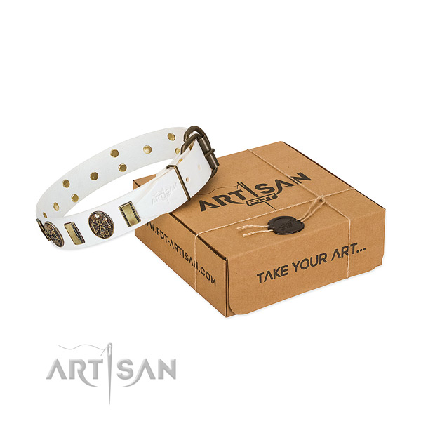 Corrosion resistant D-ring on full grain leather dog collar for comfortable wearing