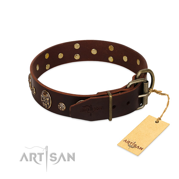Corrosion proof D-ring on leather dog collar for your pet