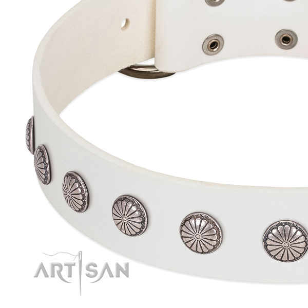 Gentle to touch full grain natural leather dog collar with adornments for stylish walking