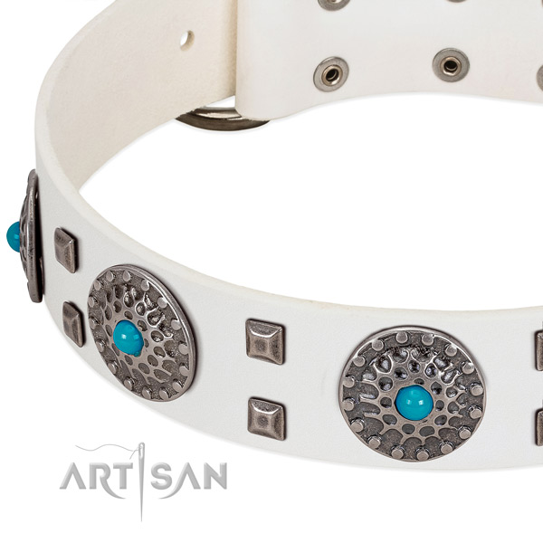 Reliable full grain natural leather dog collar with remarkable adornments