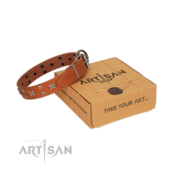 Fashionable embellished full grain natural leather dog collar of top notch material