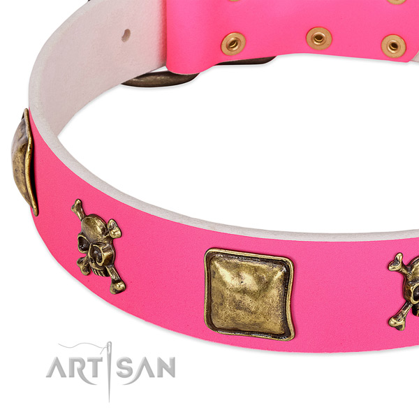 High quality natural leather dog collar with unusual embellishments