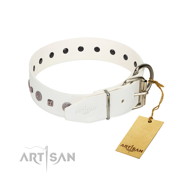 Durable buckle on stylish walking collar for your canine