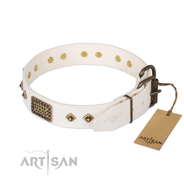 Genuine leather dog collar with durable D-ring and studs