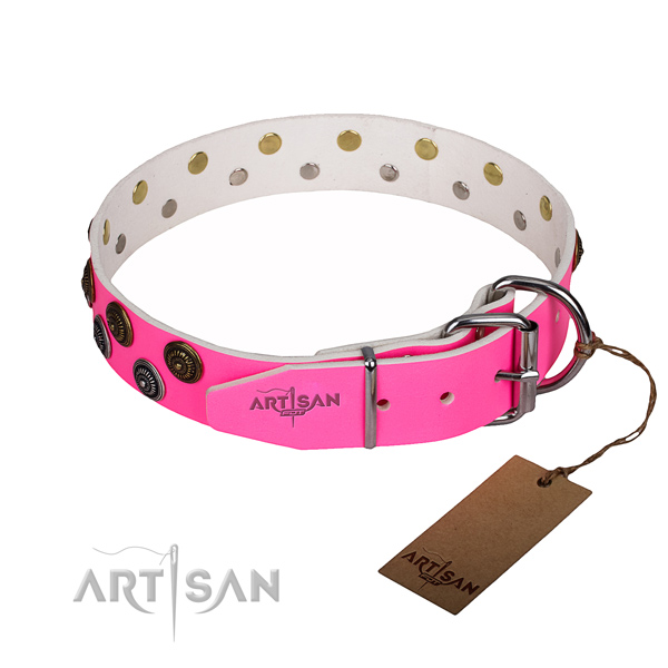 Comfortable wearing studded dog collar of top quality full grain leather