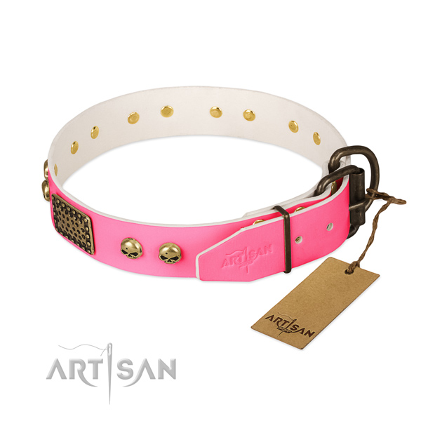 Durable adornments on daily use dog collar