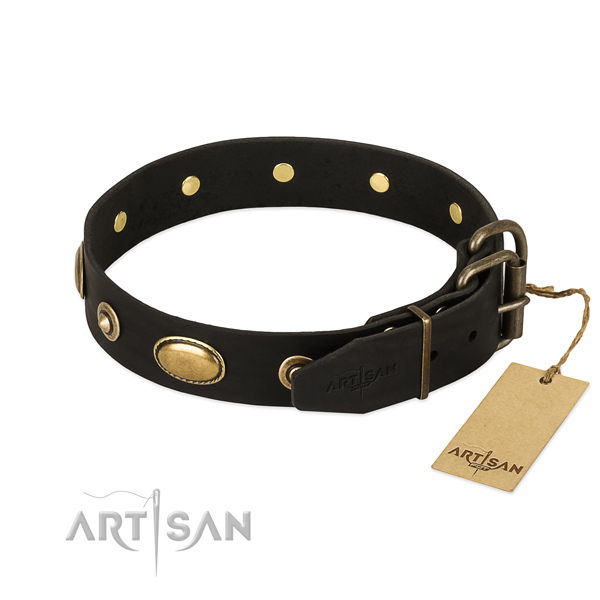 Durable studs on full grain genuine leather dog collar for your four-legged friend