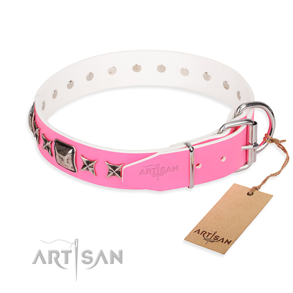 Durable studded dog collar of leather