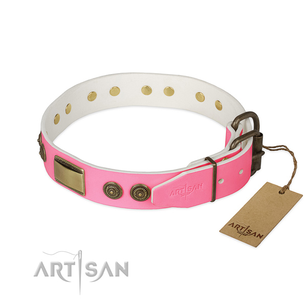 Rust resistant decorations on stylish walking dog collar