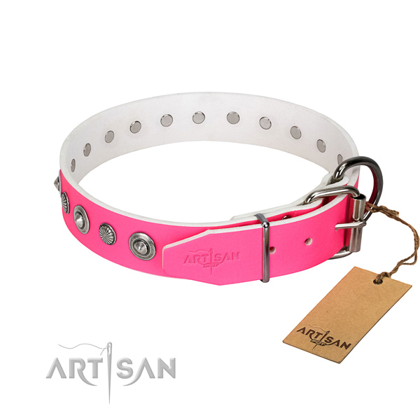 Quality natural leather dog collar with unusual studs