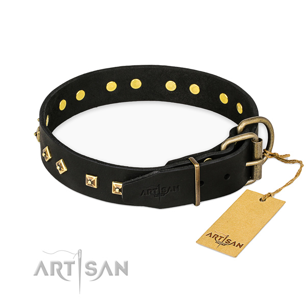 Rust-proof hardware on leather collar for basic training your four-legged friend