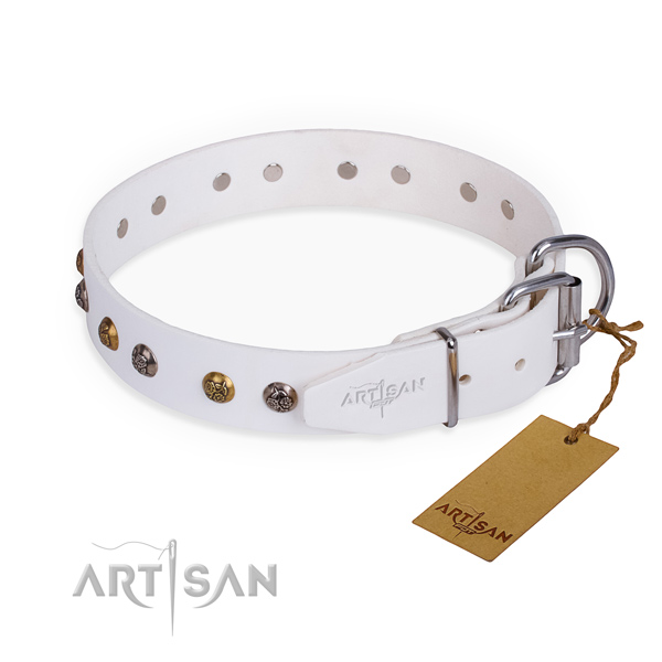 Genuine leather dog collar with unusual rust resistant studs