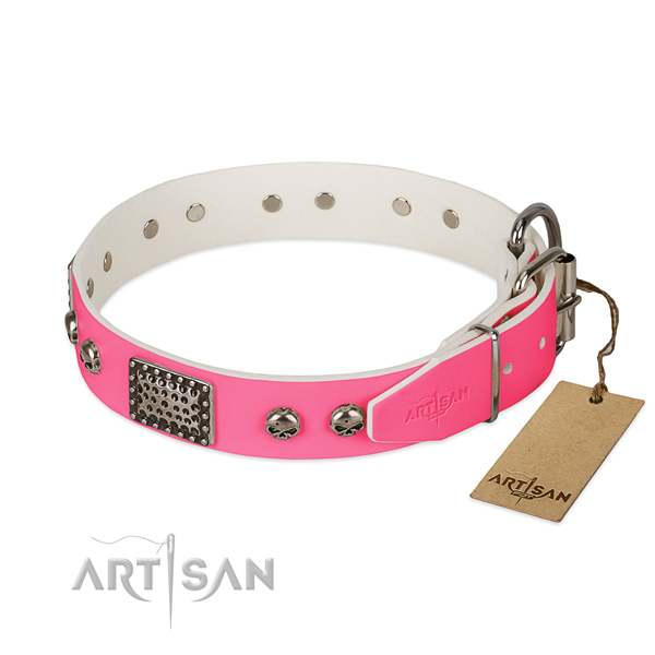 Durable buckle on daily use dog collar